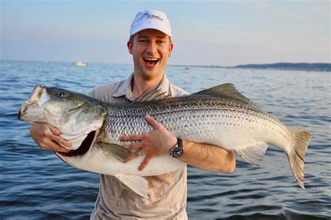 New York Fishing License: The Complete Guide .
